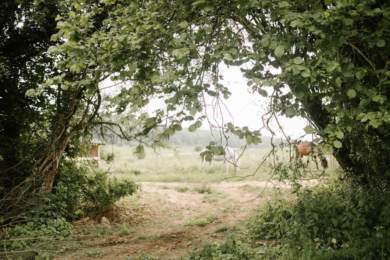 La Bulle De La Ferme Du Ry Hotel Динант Екстериор снимка